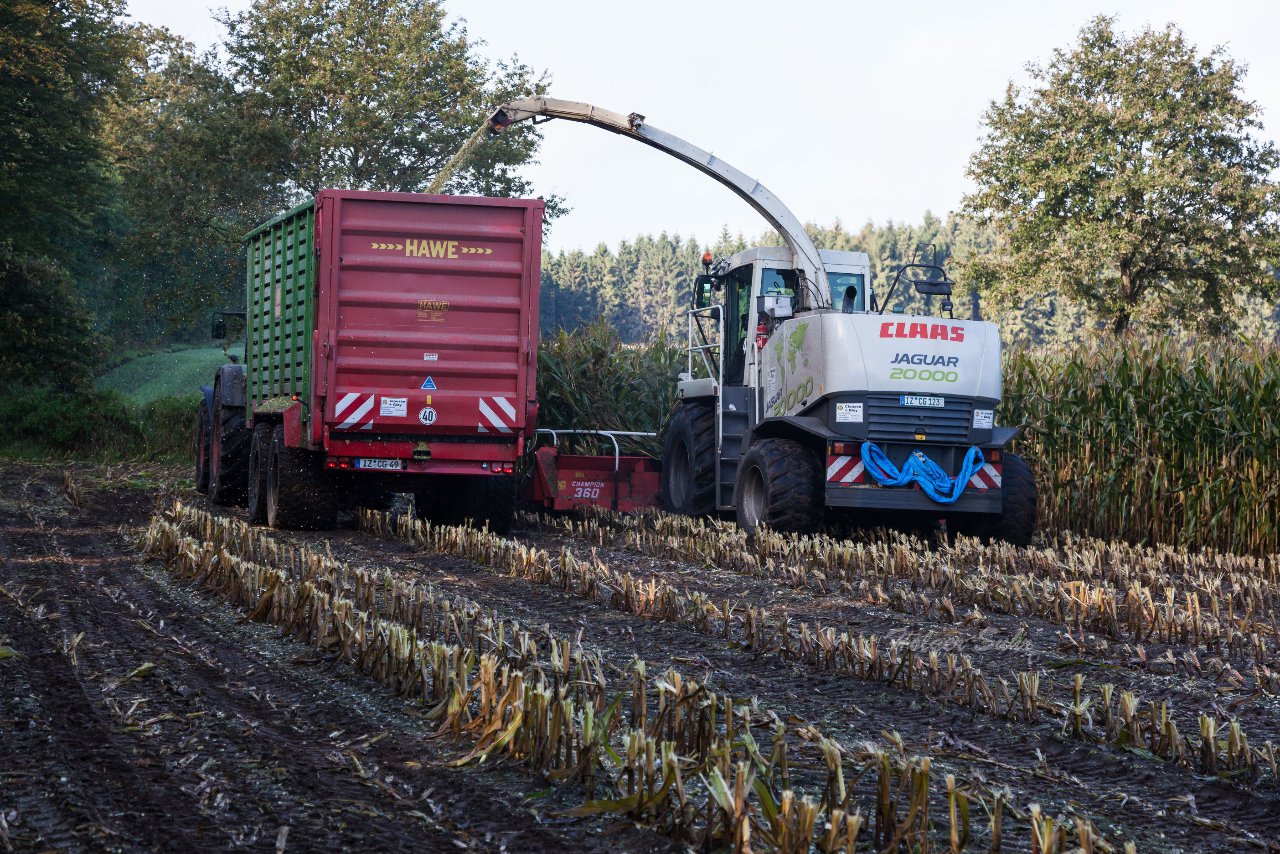 Bild 47 - Maisernte am 11.10.12